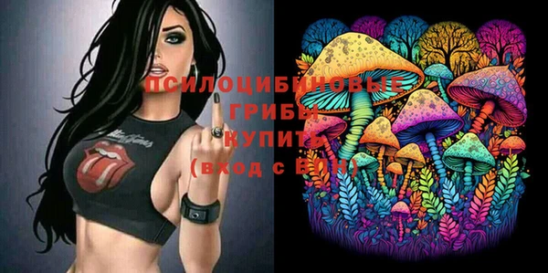 мет Аркадак